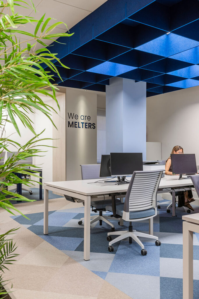 Zona de trabajo con techo de rejilla iluminado en azul y plantas en las oficinas de Melt Group